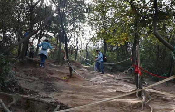 团建登山3.jpg